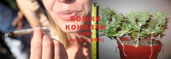соль ск Алзамай
