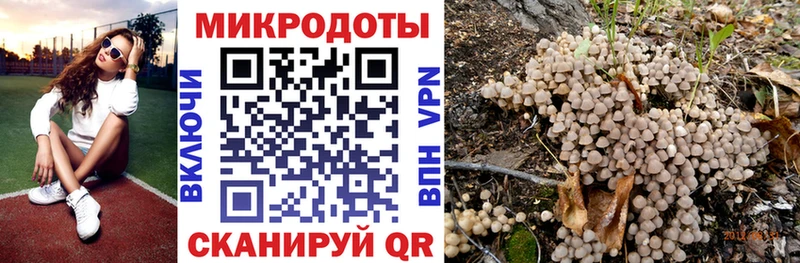Галлюциногенные грибы ЛСД мега ссылка Калязин цена